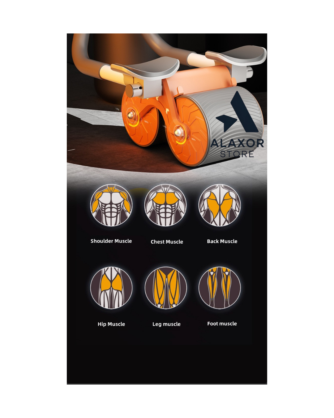 Rodillo Abdominal Premium – Define tu abdomen